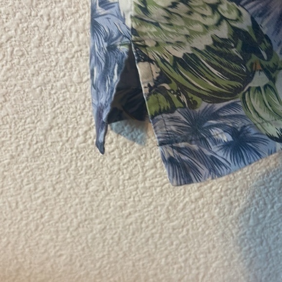 Red Turtle - Picture 8 of 9